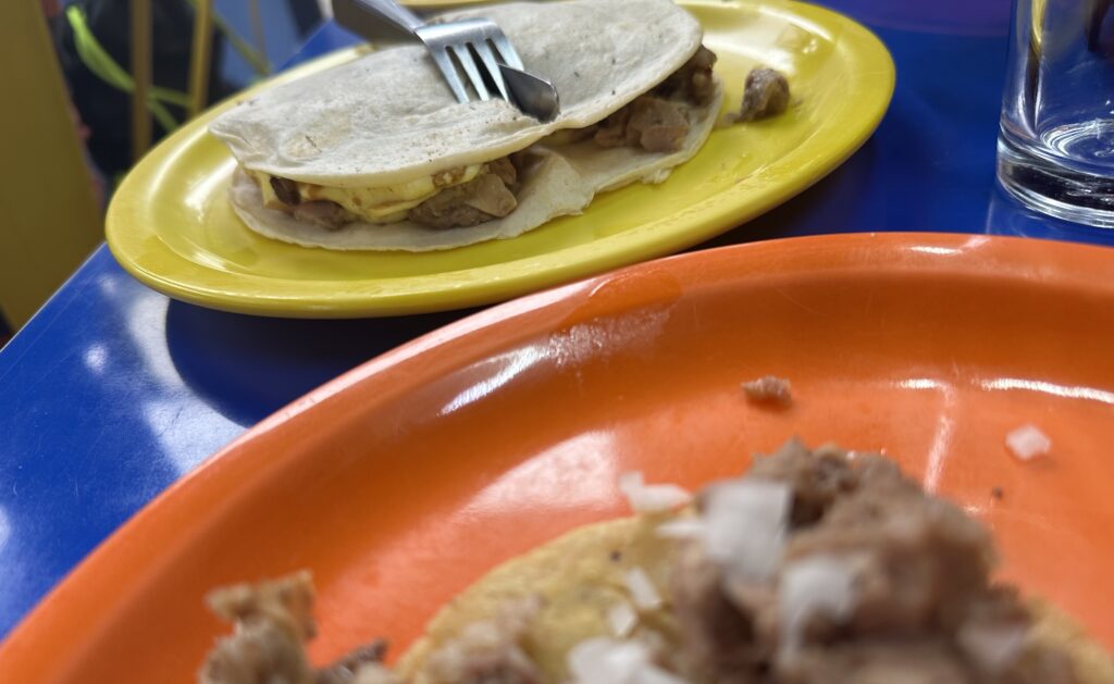 alvaro obregon best taco spots